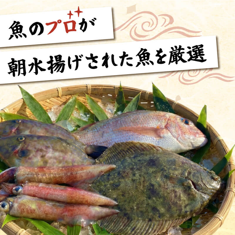【下処理可】 朝獲れ 鮮魚 ボックス 【 選べる 容量 】 三陸 朝獲れ直送 冷蔵 魚種お任せ 水揚げ 海鮮 魚介 産地直送 新鮮 天然 魚 詰め合わせ 下処理 鮮魚便 鮮魚セット 三陸産 国産 海鮮 旬 岩手県 大船渡市