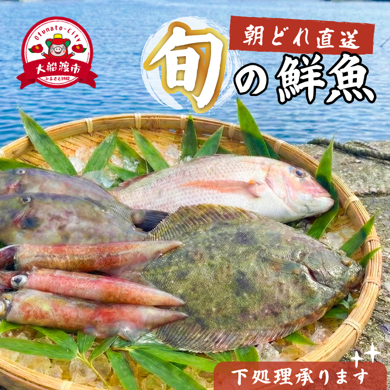 【下処理可】 朝獲れ 鮮魚 ボックス 【 選べる 容量 】 三陸 朝獲れ直送 冷蔵 魚種お任せ 水揚げ 海鮮 魚介 産地直送 新鮮 天然 魚 詰め合わせ 下処理 鮮魚便 鮮魚セット 三陸産 国産 海鮮 旬 岩手県 大船渡市