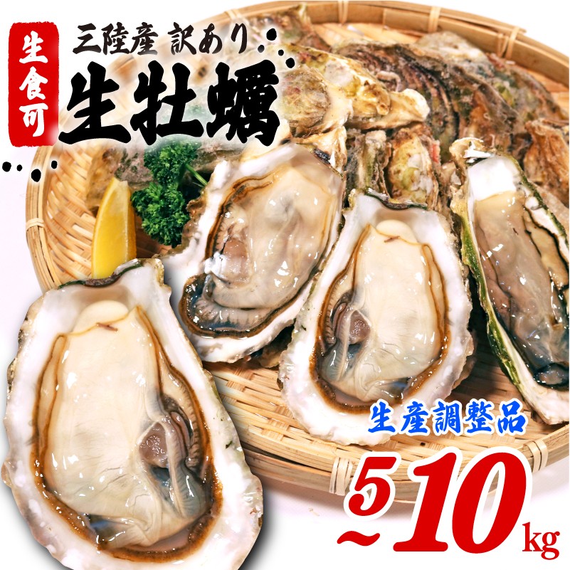 【次期生産に向けた在庫調整品】選べる容量 生食可 殻付き 牡蠣 訳あり 数量限定 冷凍 5kg 10kg かき カキ kaki 岩手県産 殻付き牡蠣 生食 訳あり わけあり 大きさ不揃い 不揃い 大船渡 岩手