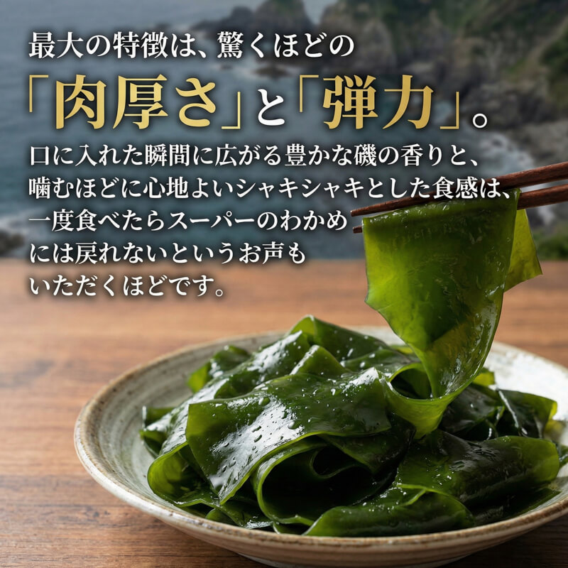 【三陸産】 塩蔵わかめ 500g～1kg わかめ ワカメ 小分け 若芽 湯通し 海藻 海産物 味噌汁 酢の物 スープ しゃぶしゃぶ サラダ お刺身 刺し身 刺身 末崎 三陸 大船渡 国産