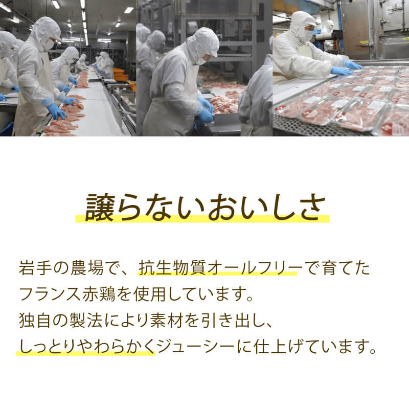 サラダチキン セット 6種 10袋 国産 鶏肉 リン酸塩不使用 抗生物質不使用 岩手県産 冷凍 国産鶏 おかず 小分け ダイエット タンパク質 トレーニング アマタケ 限定 抗生物質 オールフリー