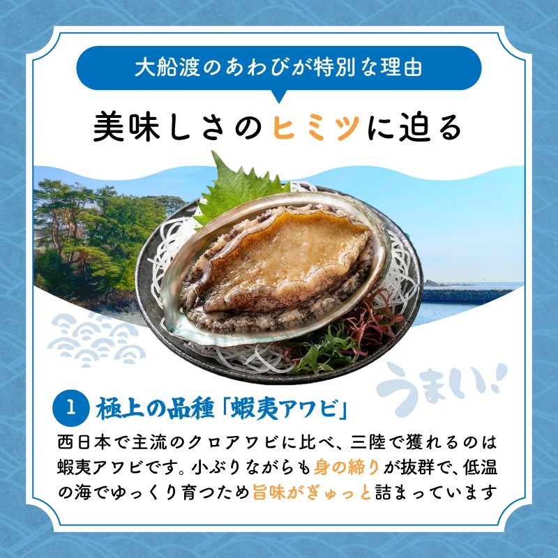 訳あり エゾアワビ 約1kg 冷凍 鮑 蝦夷あわび あわび アワビ 鮑 Abalone ステーキ  バターソテー 正月 お正月 おせち  刺し身 刺身 バーベキュー BBQ ごはん 夕飯 おかず おつ