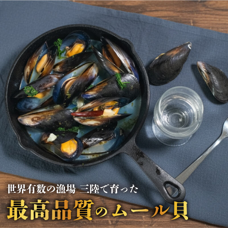 国産 活ムール貝 1kg / 3kg  冷蔵 ムール貝 ムラサキ貝 しゅうり貝 殻付き 新鮮 産地直送 お取り寄せ グルメ 三陸 岩手県 大船渡市 5000円 5千円 五千円 5000円以下 5000円以内