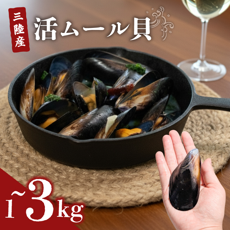 国産 活ムール貝 1kg / 3kg  冷蔵 ムール貝 ムラサキ貝 しゅうり貝 殻付き 新鮮 産地直送 お取り寄せ グルメ 三陸 岩手県 大船渡市 5000円 5千円 五千円 5000円以下 5000円以内