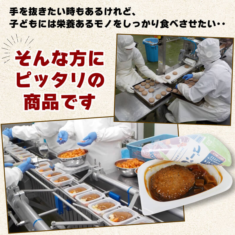 常温長期保存 大船渡港町のととバーグ 選べる味 2種 (デミグラス・てりやきソース) 計10パック 国産さば使用 ハンバーグ おさかなハンバーグ 大船渡 三陸 常温保存 惣菜 防災