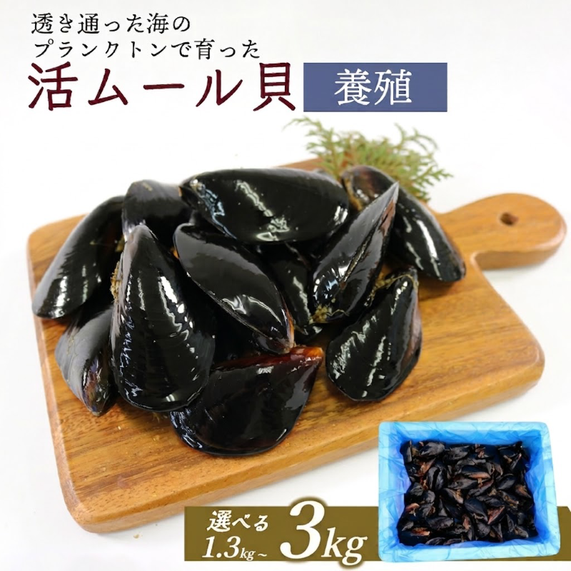 おすすめ返礼品