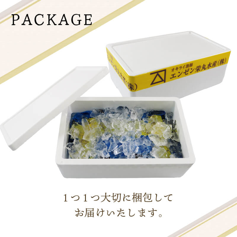 国産 活ムール貝 選べる 1.3kg～3kg 冷蔵 ムール貝 むーるかい むーるがい ムラサキイガイ しゅうり貝 殻付き 新鮮 産地直送 旬 今が旬 海産物 三陸 岩手県 大船渡市