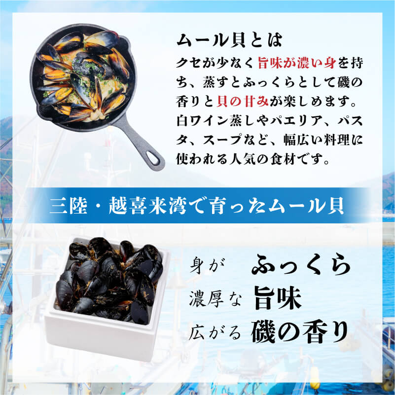 【10月～12月発送】先行予約 国産 活ムール貝 1kg～3.3kg ムール貝 ムラサキ貝 殻付き 新鮮 産地直送 旬 三陸 岩手県 大船渡市