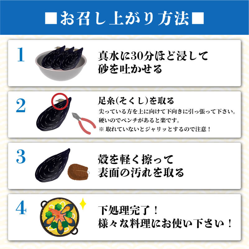 【10月～12月発送】先行予約 国産 活ムール貝 1kg～3.3kg ムール貝 ムラサキ貝 殻付き 新鮮 産地直送 旬 三陸 岩手県 大船渡市