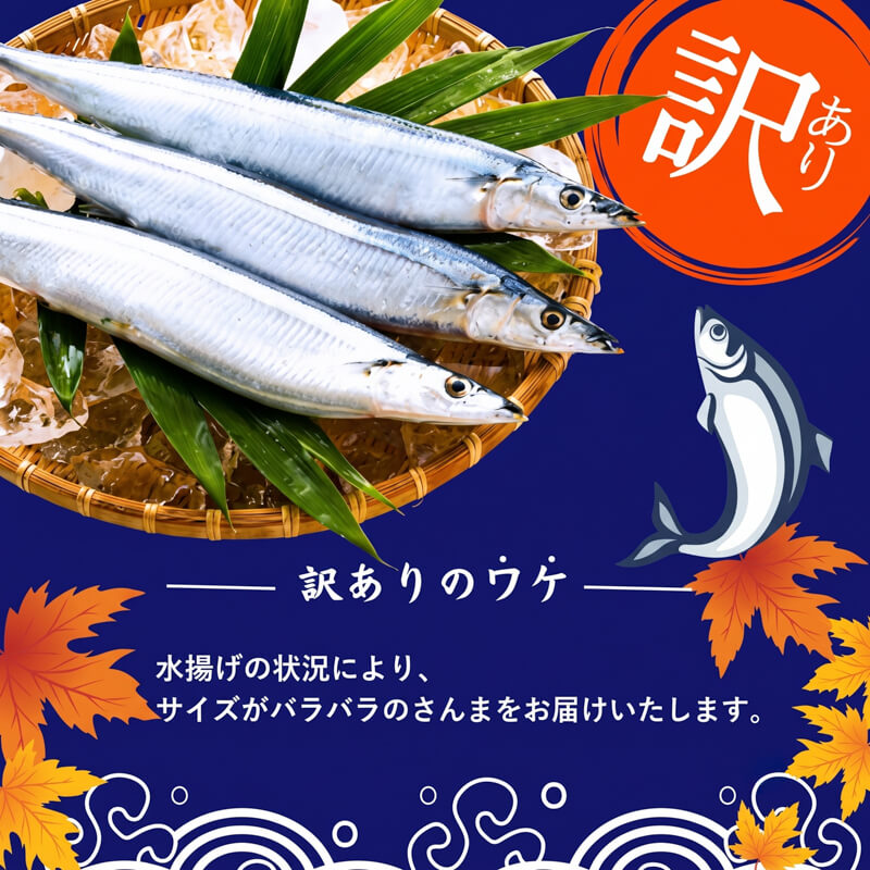 訳あり 鮮さんま 2㎏ 秋刀魚 大船渡 生さんま さんま 鮮魚 サンマ 秋 旬 期間限定 産地直送 被災 震災 火災 山火事 支援 災害 魚介類 三陸 岩手