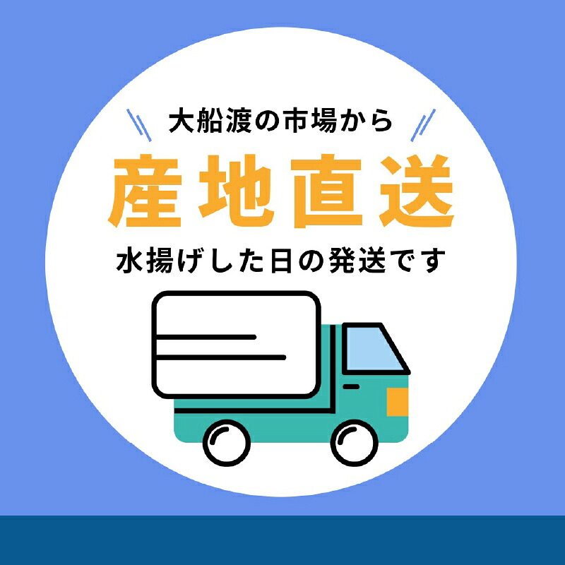 訳あり 鮮さんま 2㎏ 秋刀魚 大船渡 生さんま さんま 鮮魚 サンマ 秋 旬 期間限定 産地直送 被災 震災 火災 山火事 支援 災害 魚介類 三陸 岩手