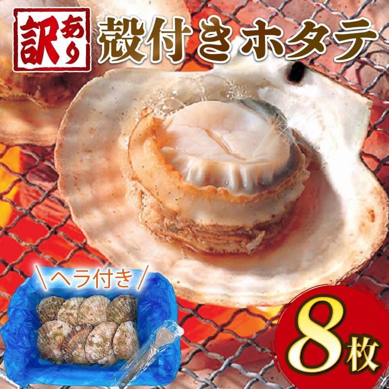 訳あり 三陸産 殻付きホタテ 8枚 冷凍 ほたて BBQ バーベキュー カンカン焼き バター焼き ボイル 蒸し 簡単 海鮮 岩手県 大船渡 三陸