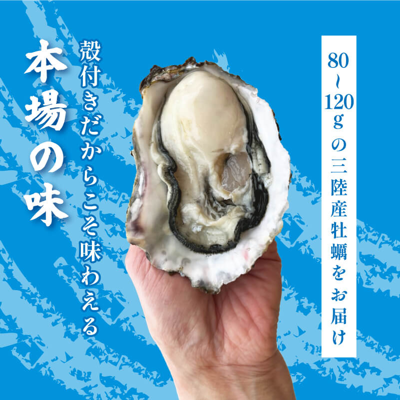 【テレビで紹介】【ナイフと軍手付き】 牡蠣 生食 冷凍 殻付き 牡蠣 1袋 12個入 三陸産 春っこ牡蠣 生食可 【 急速冷凍 】 カキ かき 生食用 カンカン焼き BBQ ガンガン焼き 生牡蠣