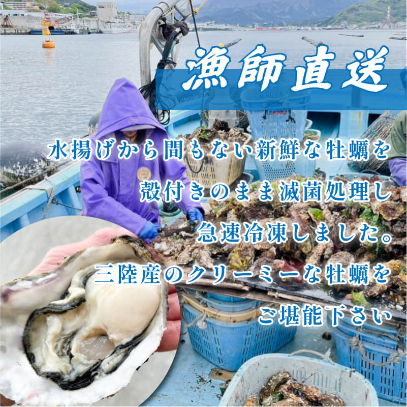 【テレビで紹介】【ナイフと軍手付き】 牡蠣 生食 冷凍 殻付き 牡蠣 1袋 12個入 三陸産 春っこ牡蠣 生食可 【 急速冷凍 】 カキ かき 生食用 カンカン焼き BBQ ガンガン焼き 生牡蠣