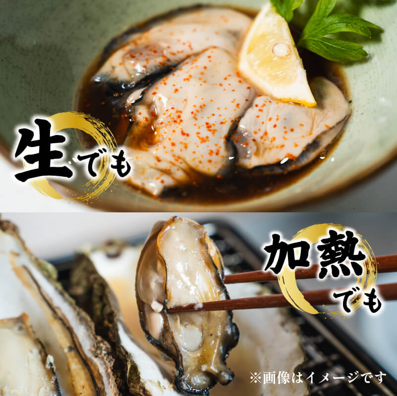 【テレビで紹介】【ナイフと軍手付き】 牡蠣 生食 冷凍 殻付き 牡蠣 1袋 12個入 三陸産 春っこ牡蠣 生食可 【 急速冷凍 】 カキ かき 生食用 カンカン焼き BBQ ガンガン焼き 生牡蠣