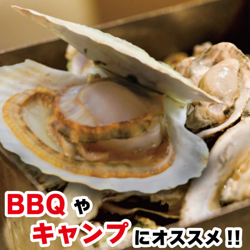 牡蠣 ホタテ カンカン 焼き ( 殻付き牡蠣 8個 、ほたて 4枚 ) カキ 貝柱 殻付牡蠣 冷凍 三陸 赤崎産牡蠣 加熱用牡蠣 魚貝類 加工食品 殻付き牡蠣 大船渡市 岩手県 キャンプ アウトドア