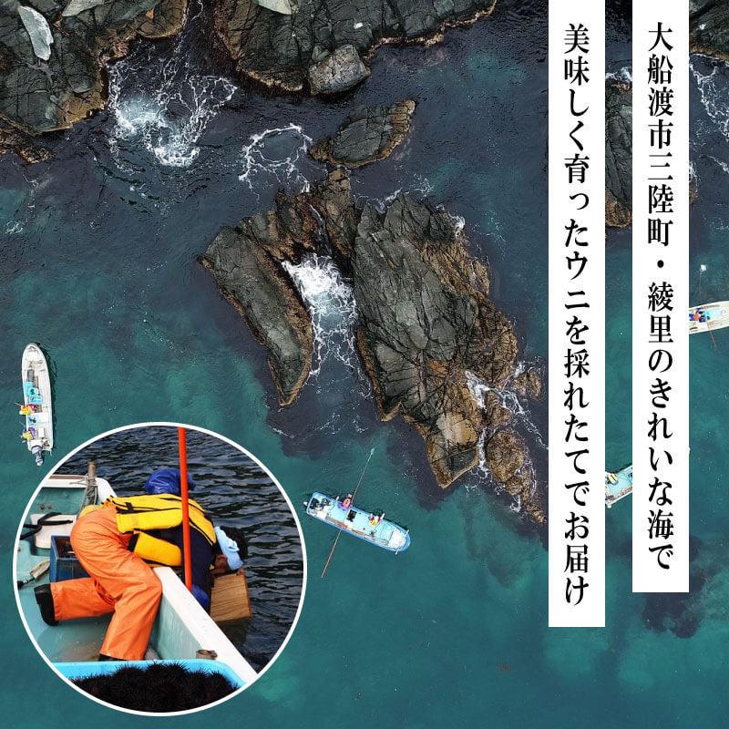 綾里おかぁの味 塩ウニ 60g 岩手県産 冷凍 ミョウバン不使用 ムラサキウニ 塩うに うに ウニ 雲丹 汐うに 塩雲丹 汐雲丹 塩蔵 手作り おかず おつまみ 晩酌 ご飯 お供 三陸 大船渡