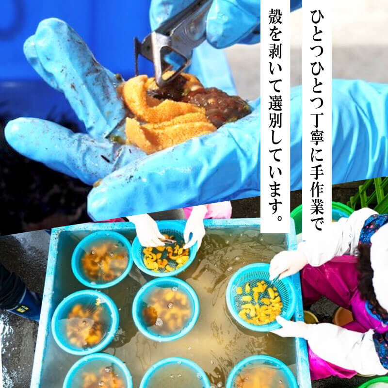 綾里おかぁの味 塩ウニ 60g 岩手県産 冷凍 ミョウバン不使用 ムラサキウニ 塩うに うに ウニ 雲丹 汐うに 塩雲丹 汐雲丹 塩蔵 手作り おかず おつまみ 晩酌 ご飯 お供 三陸 大船渡
