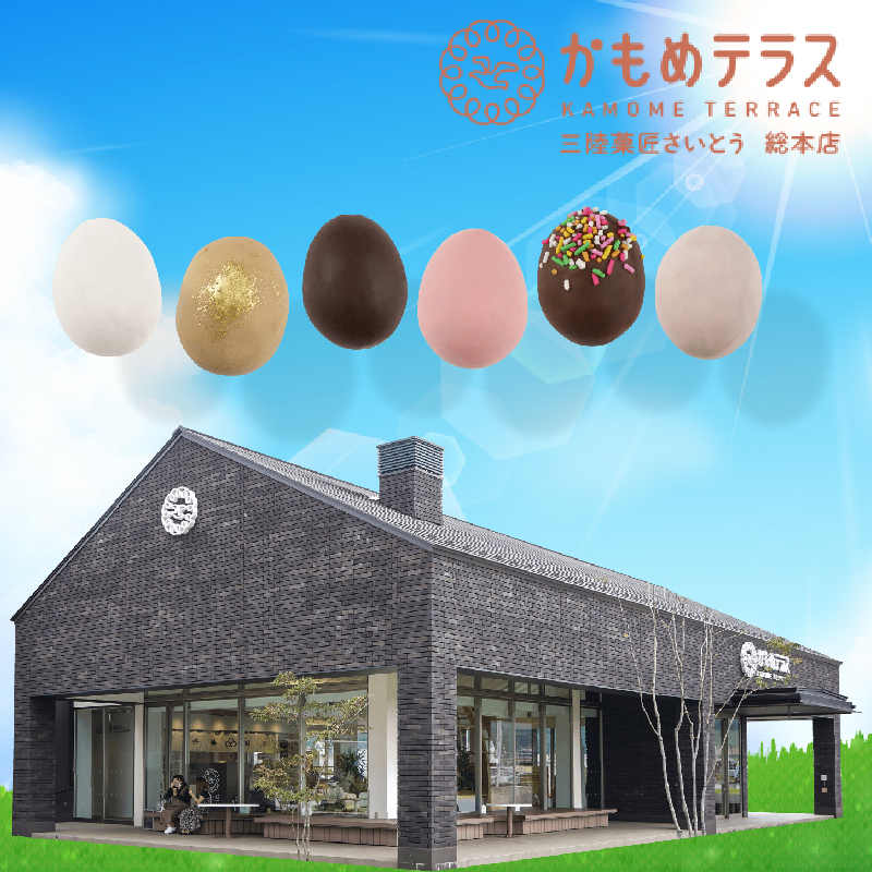 かもめのショコらん 6個入×2箱 指定日対応 のし対応 お菓子 銘菓 おみやげ スイーツ 菓子 お菓子 和菓子 洋菓子 チョコ あんこ 白あん sweets おやつ 土産 岩手 大船渡