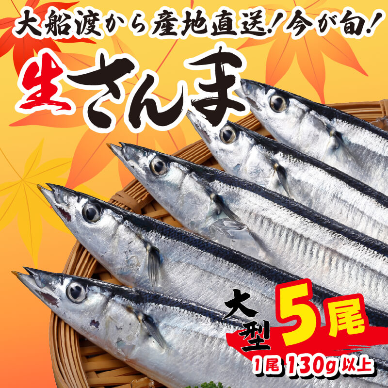 さんま 大型5尾 冷蔵 期間限定 [発送:2026年9月～2026年11月下旬] 冷蔵さんま 新鮮 鮮度 産地直送 さんま祭り サンマ祭り 肴 つまみ 簡単 簡単調理 三陸 大船渡
