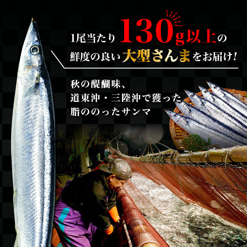 さんま 大型5尾 冷蔵 期間限定 [発送:2026年9月～2026年11月下旬] 冷蔵さんま 新鮮 鮮度 産地直送 さんま祭り サンマ祭り 肴 つまみ 簡単 簡単調理 三陸 大船渡