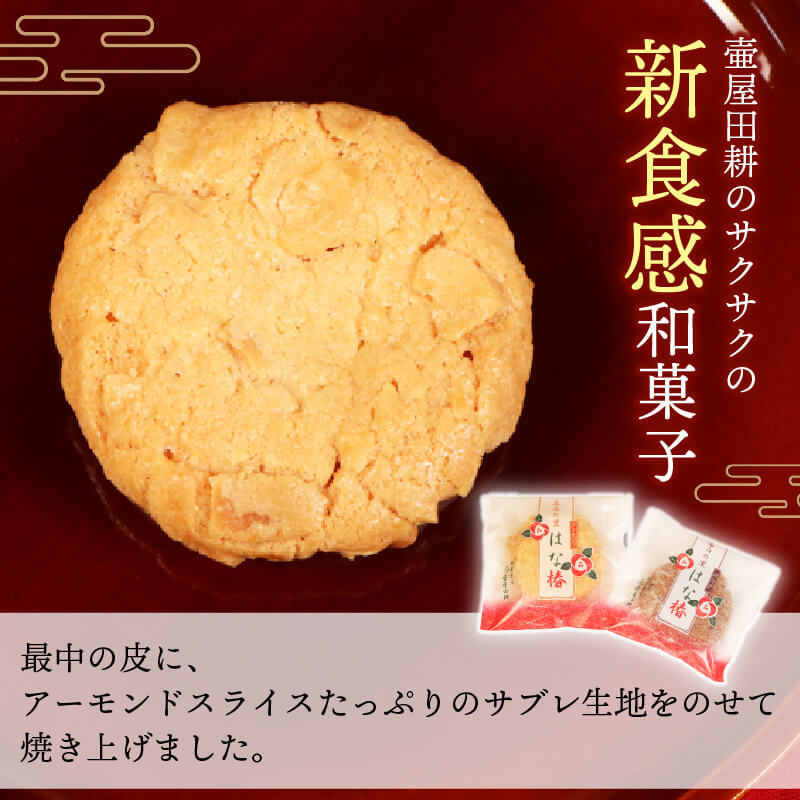金菓賞受賞 選べる容量 サブレ はな椿 10個 / 15個 【全国菓子大博覧会・三重 】菓子 洋菓子 和菓子 スイーツ ココア  アーモンド ビスケット クッキー おやつ おかし 岩手 大船渡