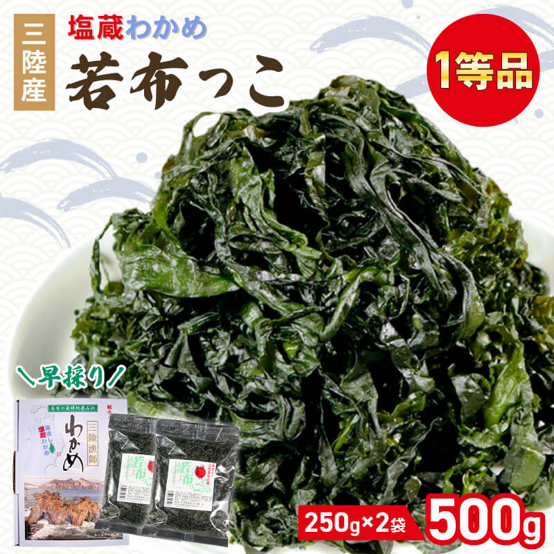 早採り 塩蔵わかめ 若布っこ 250g×2袋 海鮮 海藻 わかめ ワカメ 魚貝類 魚介類 みそ汁 スープ 酢の物 小分け 贈答品 贈答用 番組 大船渡 大船渡市 三陸 岩手