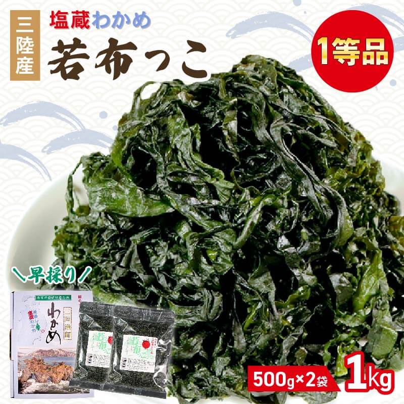 早採り 塩蔵わかめ 若布っこ 500g×2袋 海鮮 海藻 わかめ ワカメ 贈答品 贈答用 魚貝類 魚介類 みそ汁 スープ 酢の物 小分け 番組 大船渡 大船渡市 三陸