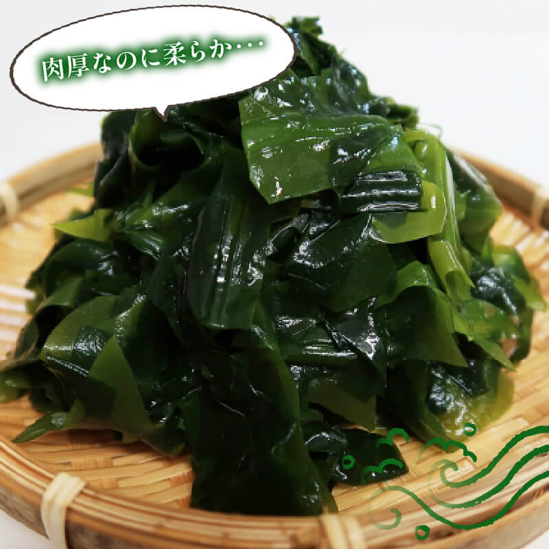 早採り 塩蔵わかめ 若布っこ 500g×2袋 海鮮 海藻 わかめ ワカメ 贈答品 贈答用 魚貝類 魚介類 みそ汁 スープ 酢の物 小分け 番組 大船渡 大船渡市 三陸