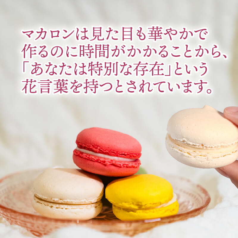 【10月～5月限定】 マカロン詰合せ 選べる 10個 20個 ( 抹茶 / バニラ / いちご / レモン / ショコラ ) 各2個 個包装 スイーツ デザート 洋菓子 焼き菓子 贈答 箱入り 大船渡