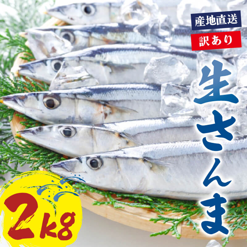 訳あり さんま 約2kg サンマ 冷蔵 秋刀魚 鮮さんま 限定 期間限定 旬 簡単調理 焼き魚 煮魚 フライ おかず おつまみ 晩酌 米 丼 海産物 海鮮 魚介 魚介類 三陸 岩手県 大船渡市