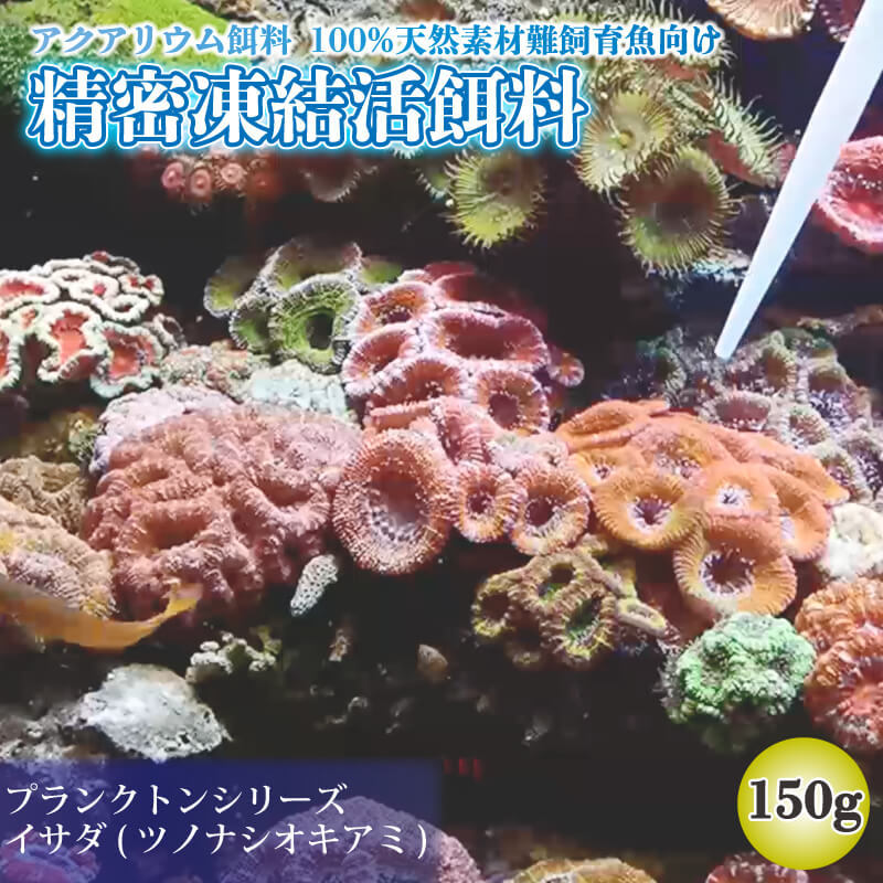精密凍結活餌料 イサダ(ツノナシオキアミ)150g (50g×3) 難飼育魚向け餌料 観賞魚 熱帯魚