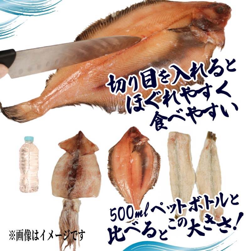 海の幸セット A-3 【ギスの塩干し2~4枚、干しカレイ 3~4枚、スルメイカ一夜干し2枚、イカの塩辛1パック】 冷凍 焼くだけ 簡単 ぎす かれい するめいか いか 魚 塩辛 干物 大船渡市 岩手県