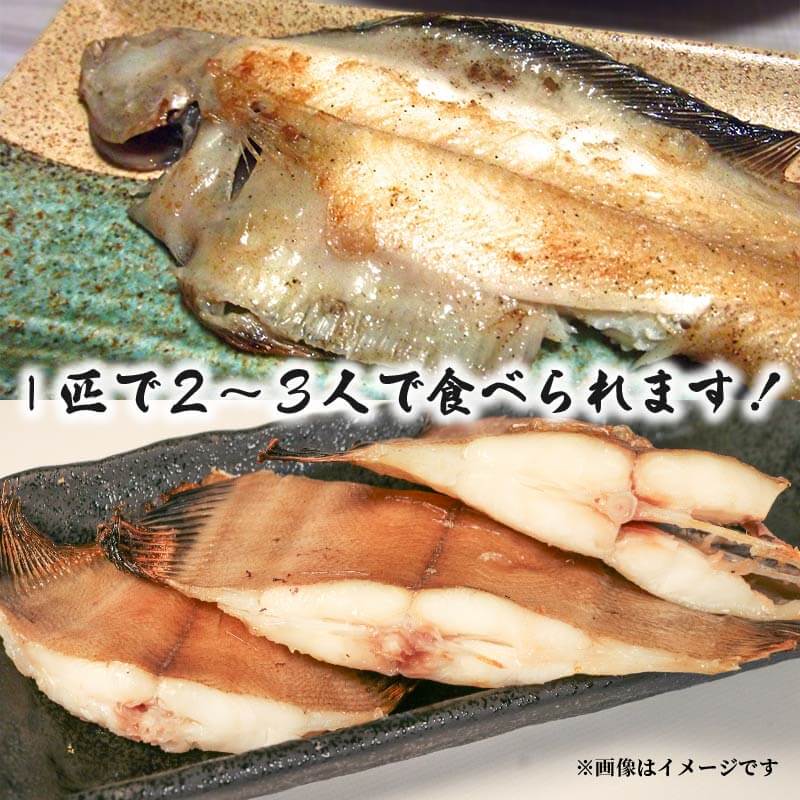海の幸セット A-3 【ギスの塩干し2~4枚、干しカレイ 3~4枚、スルメイカ一夜干し2枚、イカの塩辛1パック】 冷凍 焼くだけ 簡単 ぎす かれい するめいか いか 魚 塩辛 干物 大船渡市 岩手県