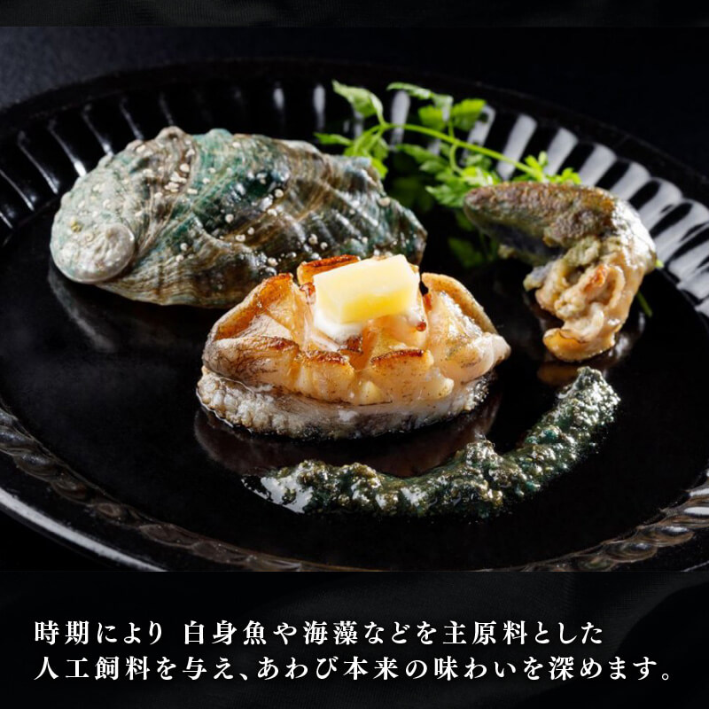 【2026年10月30日発送！！】 奇跡の再始動 訳あり三陸翡翠あわび 30g×6個 冷凍 蒸し鮑 鮑 青空レストラン 蝦夷あわび あわび アワビ 鮑 Abalone ステーキ バターソテー 正月