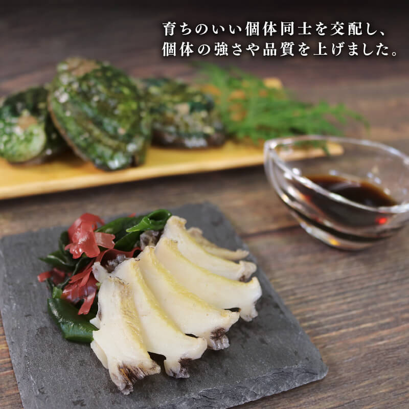 【2026年10月30日発送！！】 奇跡の再始動 訳あり三陸翡翠あわび 30g×6個 冷凍 蒸し鮑 鮑 青空レストラン 蝦夷あわび あわび アワビ 鮑 Abalone ステーキ バターソテー 正月