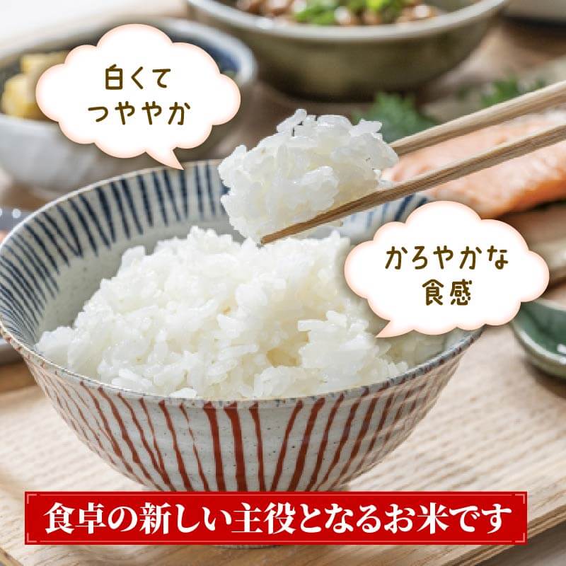 銀河のしずく パックご飯 計12食 (各180g) ご飯パック ごはんパック レトルト ご飯 パックごはん パックライス パックご飯 米 白米 ブランド米 保存食 備蓄米 180g