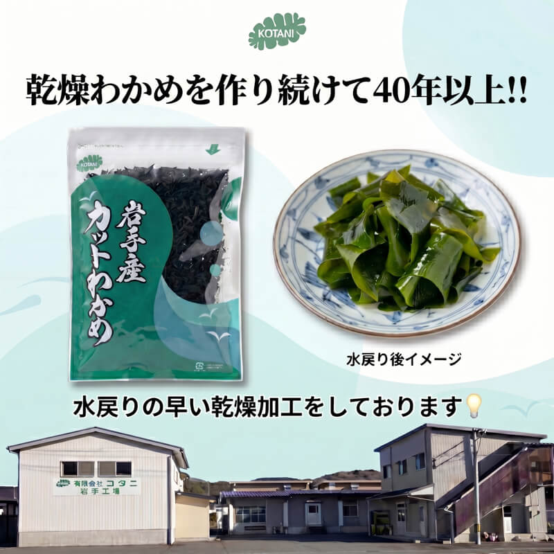 岩手県産 カットわかめ 100g 乾燥カットわかめ お手軽 簡単 わかめ ワカメ 若芽 海鮮 海藻 魚介類 簡単調理 煮物 出汁 だし 被災 震災 災害 火災 山火事 支援 大船渡 大船渡市 三陸