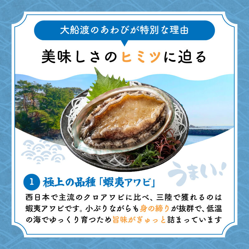 【選べる個数】 冷凍 蝦夷あわび 2個 3個 5個 岩手県産 アワビ 鮑 awabi ステーキ バターソテー 正月 お正月 おせち 刺し身 刺身 バーベキュー BBQ 大船渡 岩手 三陸