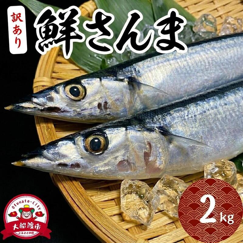 訳ありさんま2kg [2026年9月～発送予定] 冷蔵 魚 新鮮 ごはん 夕飯 おかず おつまみ 晩酌 海産物 海鮮 魚介 魚介類 大船渡 大船渡市 三陸