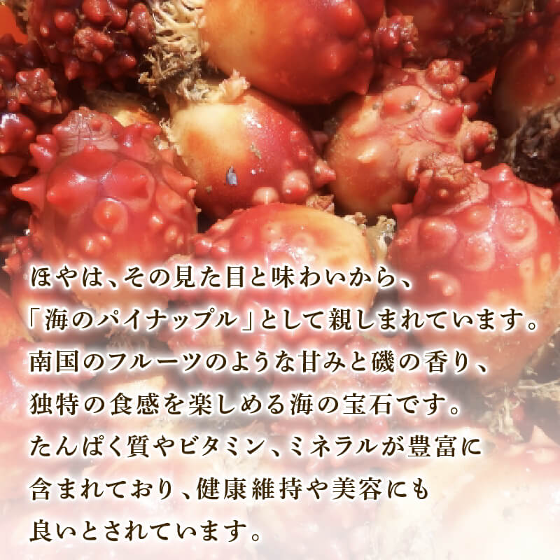 ほや むき身 300g×3パック (計約900g) 冷凍 ホヤ 海鞘 剥き身 Hoya 刺身 さしみ 刺し身 唐揚げ むきほや 早く届く スピード 三陸 三陸産 岩手 大船渡 岩手県