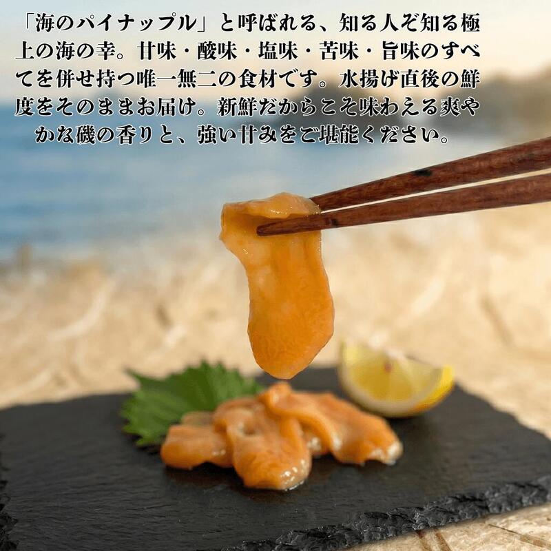 冷凍ほや 200g×5パック ホヤ Hoya ほや 冷凍 串焼き フライ 刺身 酢の物 天ぷら おさしみ お刺身 ごはん 夕飯 おかず おつまみ 晩酌 丼 珍味 お取り寄せ グルメ