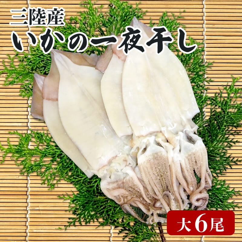 いか 一夜干し 大 6尾 いか イカ 烏賊 squid バーベキュー BBQ 炙り 炙り焼き 夕飯 おかず おつまみ 晩酌 海産物 海鮮 魚介 魚介類 大船渡 三陸 岩手県 国産