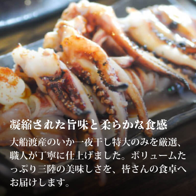 いか 一夜干し 大 6尾 いか イカ 烏賊 squid バーベキュー BBQ 炙り 炙り焼き 夕飯 おかず おつまみ 晩酌 海産物 海鮮 魚介 魚介類 大船渡 三陸 岩手県 国産