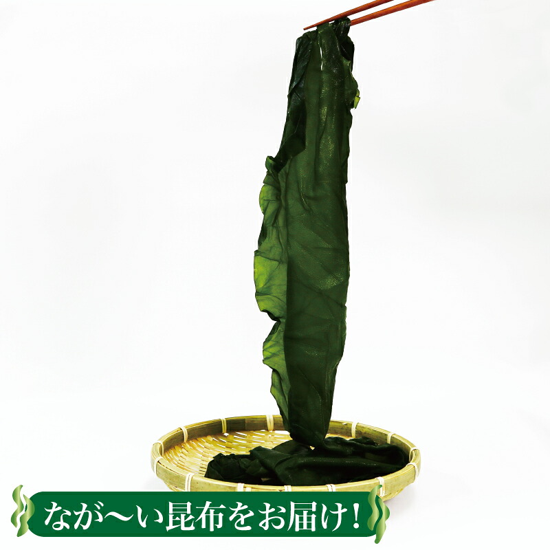 塩蔵こんぶ1.6kg 200g×8袋 昆布 こんぶ 昆布 コンブ 出汁 ダシ 和食 煮物 おでん 海藻 海産物 三陸 国産 岩手県 国産 味噌汁 ごはん 夕飯 おかず サラダ 大船渡 三陸 岩手県