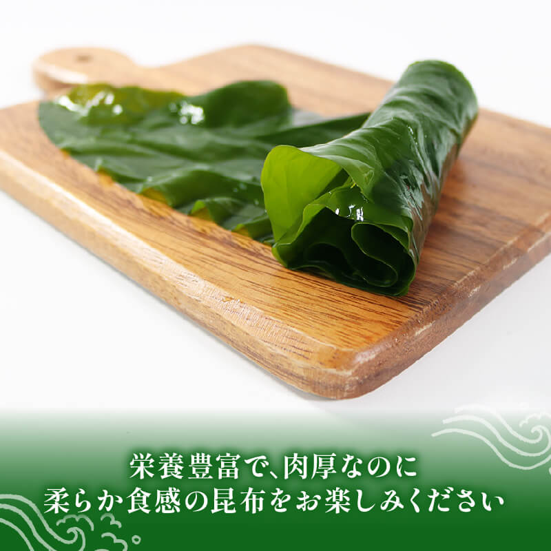 湯通し塩蔵こんぶ 500g×2袋  昆布 こんぶ 海鮮 海藻 魚貝類 魚介類 小分け 煮物 おでん 煮しめ 出汁 だし 支援 応援 大船渡 大船渡市 三陸 岩手県