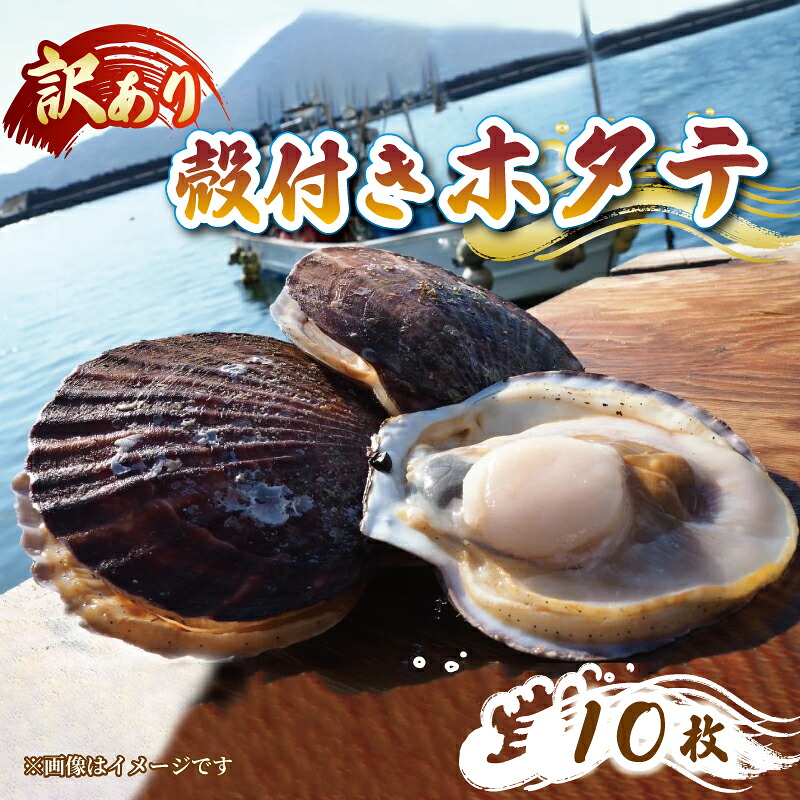 三陸産 訳あり 殻付き 活ホタテ 10枚 ほたて 帆立 hotate 三陸ほたて 三陸ホタテ 活ほたて 殻付きほたて 新鮮 国産ほたて 訳ありほたて 海鮮 魚貝類 魚介類 国産 三陸 岩手 お取り寄せ