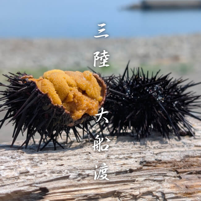 塩うに 80g 焼うに 80g×2 セット 雲丹 うに ウニ uni sea urchin 寿司 焼き雲丹 焼雲丹 汐うに 潮うに 海鮮 魚貝類 魚介類 キタムラサキウニ 小分け ウニ丼 ご飯 白米