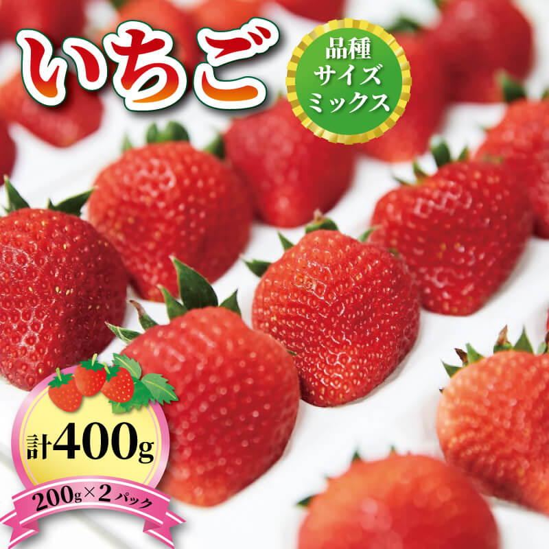 【1～5月お届け】 いちご 2種 400g (200g×2) 品種・サイズおまかせ 苺 イチゴ いちご ichigo strawberry なつあかり 信大BS8-9 夏のしずく 夏の輝 すずあかね