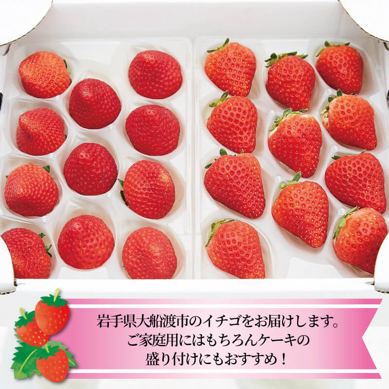 【1～5月お届け】 いちご 2種 400g (200g×2) 品種・サイズおまかせ 苺 イチゴ いちご ichigo strawberry なつあかり 信大BS8-9 夏のしずく 夏の輝 すずあかね